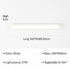 Blanc D80cm / Gradation en continu (RC)
