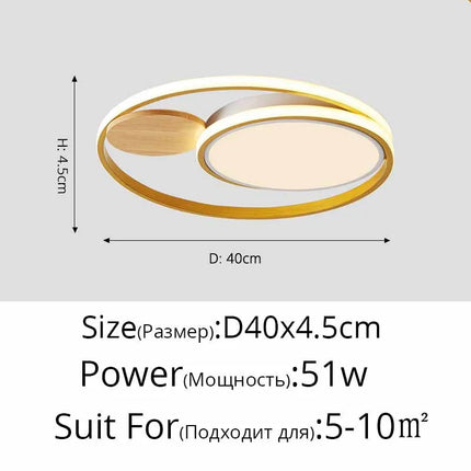 Plafonnier LED nordique créatif avec 2 styles et lumière chaude — LZ4X9T2