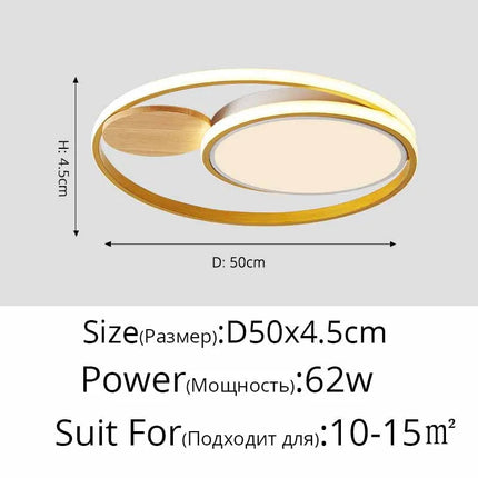 Plafonnier LED nordique créatif avec 2 styles et lumière chaude — LZ4X9T2