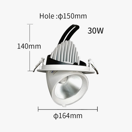 Plafonnier LED réglable antiéblouissement pour commerce — LZ4X9T2