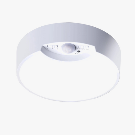 Plafonnier LED rechargeable avec capteur de mouvement et télécommande — LZ4X9P