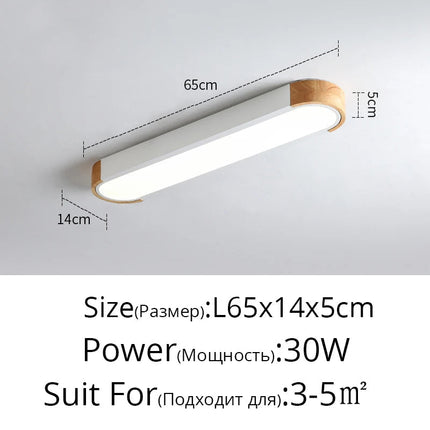 Plafonnier LED rectangulaire à bande longue et design simple — LZ4X9P2
