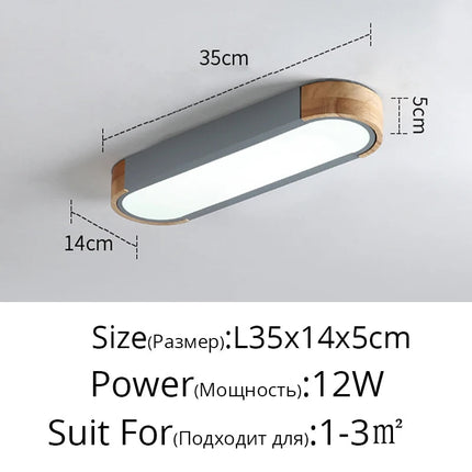 Plafonnier LED rectangulaire à bande longue et design simple — LZ4X9P2