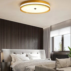 Noir / Dimmable Avec télécommande / 100-220v