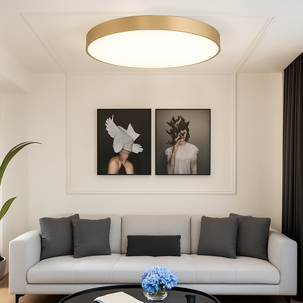 Plafonnier LED ultra fin au design moderne pour éclairage intérieur — LZ4X9P2