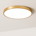 Blanc chaud / 12W 23cmX5CM