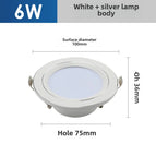 6W  White Silver / 6000K