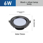 6W  Gold Silver / 6000K