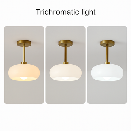 Plafonnier moderne en fer et verre pour intérieur élégant — LZ4X9D