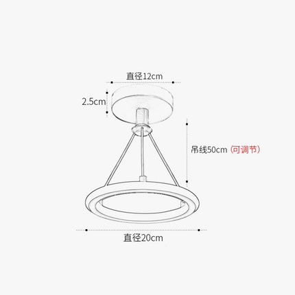 Plafonnier LED rond au design moderne pour intérieur élégant — LZ4X9B2