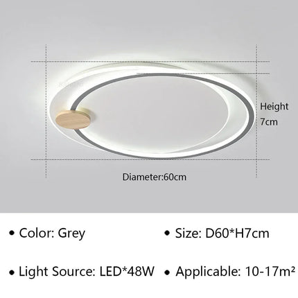 Plafonnier moderne au design simple pour décoration intérieure élégante — LZ4X7QJ
