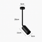 Plafond Noir 20cm / Blanc chaud