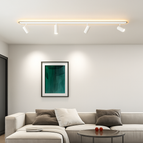 100cm 2 spots / Blanc / Blanc froid (sans RC)