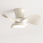 Couleur A / 110V