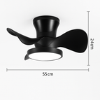Couleur B / 220V