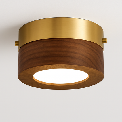 Plafonnier LED en noyer et frêne pour éclairage intérieur — LZ4X9P2