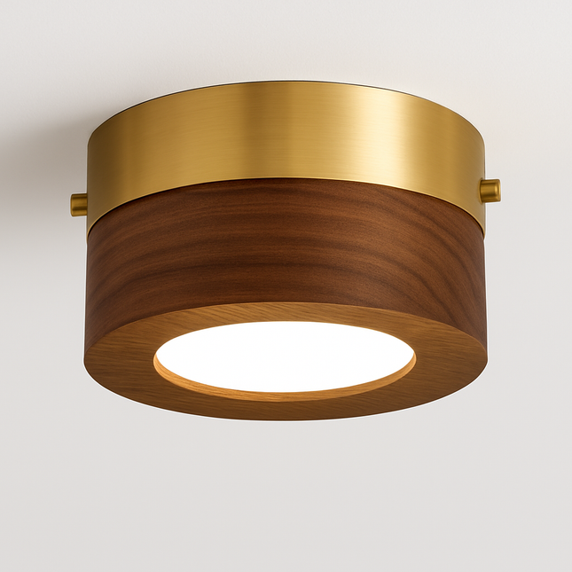 Plafonnier LED en noyer et frêne pour éclairage intérieur — LZ4X9P2