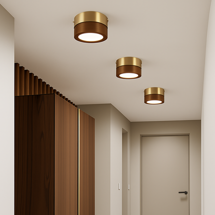 Plafonnier LED en noyer et frêne pour éclairage intérieur — LZ4X9P2
