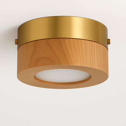 Plafonnier LED en noyer et frêne pour éclairage intérieur — LZ4X9P2