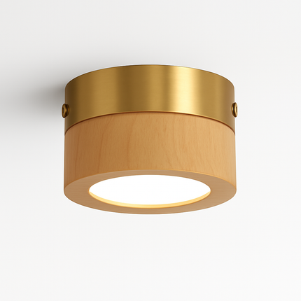 Plafonnier LED en noyer et frêne pour éclairage intérieur — LZ4X9P2