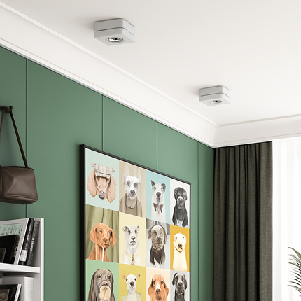 Plafonnier spot LED orientable 360° COB 7W-15W montage en surface — LZ4G7Q2