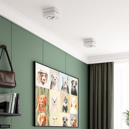 Plafonnier spot LED orientable 360° COB 7W-15W montage en surface — LZ4X9T