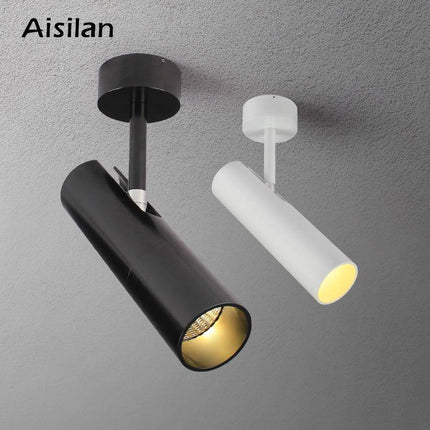 Spot LED orientable cylindre en aluminium — LZ4X9P2