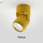 Jaune / Chaude