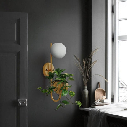 Applique murale LED moderne avec pot de plante Xenia — LZ4P9XQ
