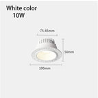 Couleur blanche 12W / Lumière chaude 3000K