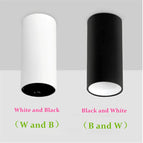BLANC / 10W W et B