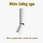 Blanc intégré / Blanc chaud 3000K / 12 W à intensité variable