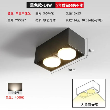 Spot encastrable double tête pour éclairage intérieur — LZ4X9M