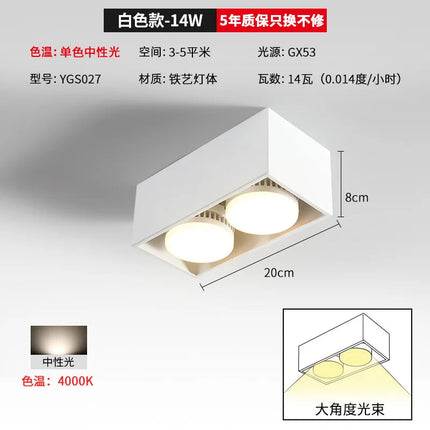Spot encastrable double tête pour éclairage intérieur — LZ4X9M