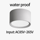 Input AC85V-265V 1 / 18W / 3000K | CHINA