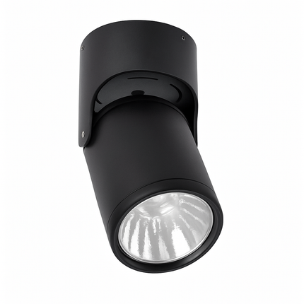 Spot LED directionnel (noir ou blanc)