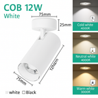 Type A Blanc 12W
