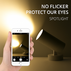 12W Black / Cold Light