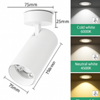 20W White / 3 Colors change