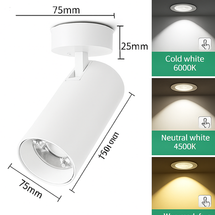 Spot LED pour éclairage intérieur au design moderne — LZ4F9Q2