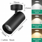 20W Black / 3 Colors change