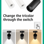 12W Black / Neutral light