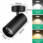 12W White / Warm Light