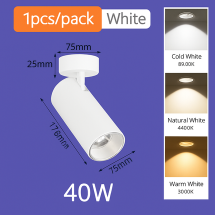 Spot LED pour éclairage intérieur au design moderne — LZ4F9Q2