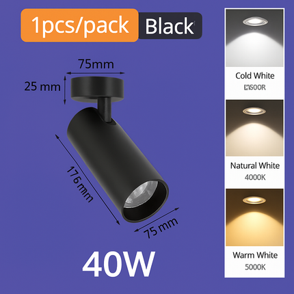 Spot LED pour éclairage intérieur au design moderne — LZ4F9Q2