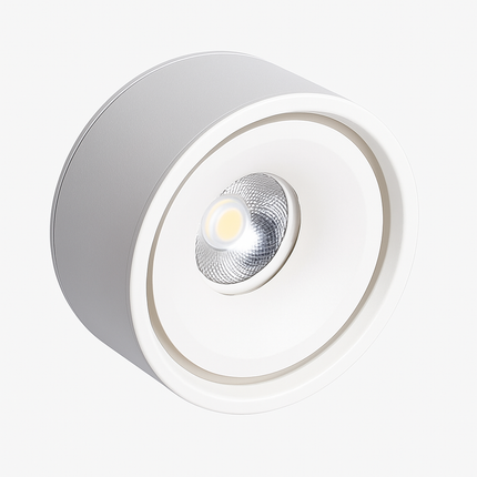 Spot LED rond à intensité variable en surface — LZ4X9T1
