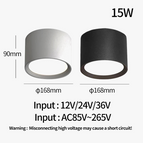 Input AC85V-265V / 18W D168xH100mm / Natural light 4000K | CN