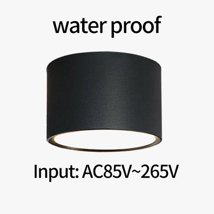 Spot LED étanche à haute luminosité pour montage en surface extérieur — LZ4P9XJ
