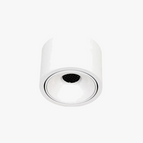 Corps blanc / Blanc chaud 3000k / 10W à intensité variable