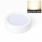 Corps blanc-4000K / 5W 12V